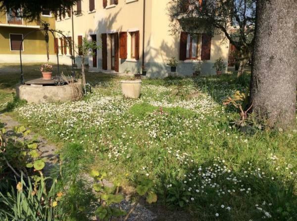 Ferienwohnung Casa Olinda Lazise Exterior foto